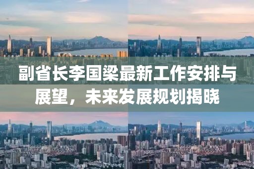 副省長李國梁最新工作安排與展望，未來發(fā)展規(guī)劃揭曉