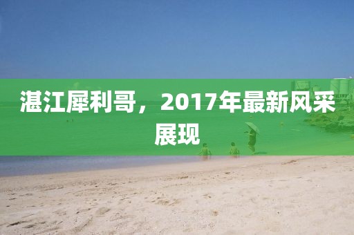 湛江犀利哥，2017年最新風采展現(xiàn)