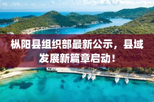 樅陽縣組織部最新公示，縣域發(fā)展新篇章啟動！