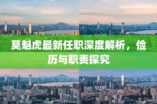 莫魁虎最新任職深度解析，儉歷與職責(zé)探究