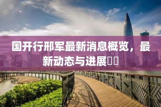 國開行邢軍最新消息概覽，最新動態(tài)與進展??