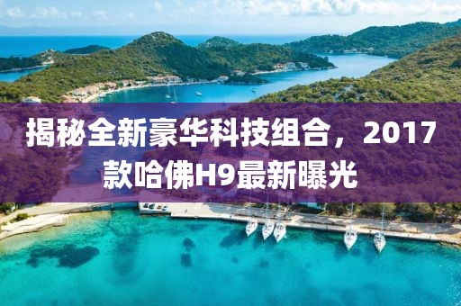 揭秘全新豪華科技組合，2017款哈佛H9最新曝光