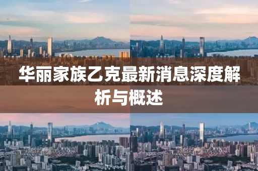 華麗家族乙克最新消息深度解析與概述