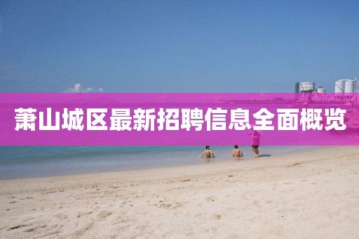 蕭山城區(qū)最新招聘信息全面概覽