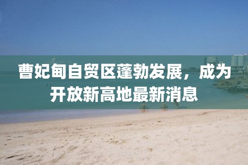 曹妃甸自貿(mào)區(qū)蓬勃發(fā)展，成為開放新高地最新消息