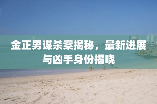 金正男謀殺案揭秘，最新進(jìn)展與兇手身份揭曉