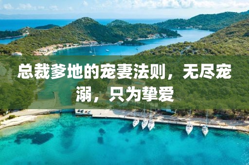 總裁爹地的寵妻法則，無盡寵溺，只為摯愛