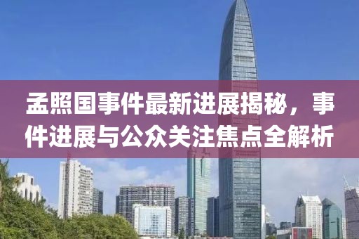 孟照國事件最新進展揭秘，事件進展與公眾關(guān)注焦點全解析