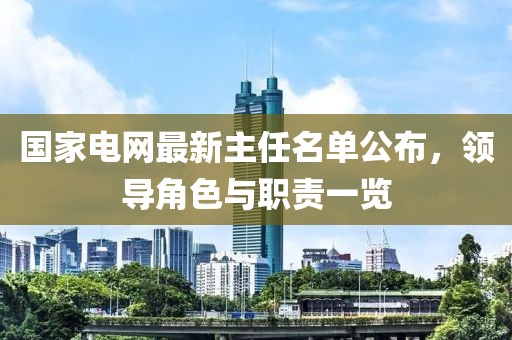 國家電網(wǎng)最新主任名單公布，領(lǐng)導(dǎo)角色與職責(zé)一覽