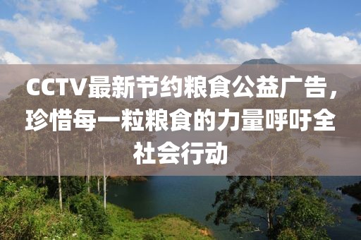 CCTV最新節(jié)約糧食公益廣告，珍惜每一粒糧食的力量呼吁全社會(huì)行動(dòng)