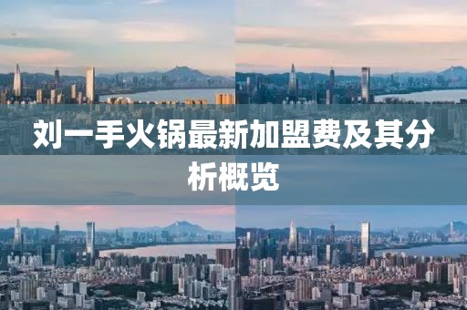 劉一手火鍋?zhàn)钚录用速M(fèi)及其分析概覽