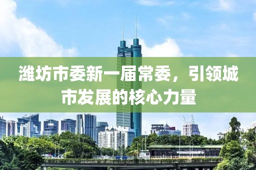 濰坊市委新一屆常委，引領(lǐng)城市發(fā)展的核心力量