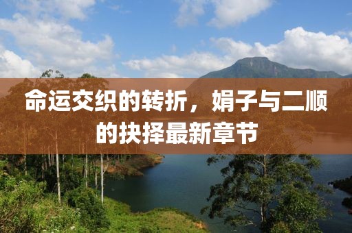 命運(yùn)交織的轉(zhuǎn)折，娟子與二順的抉擇最新章節(jié)