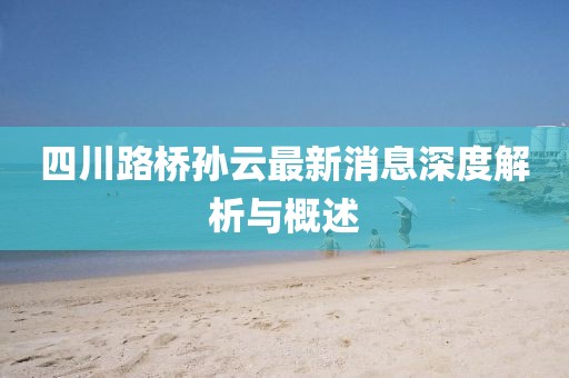 四川路橋孫云最新消息深度解析與概述