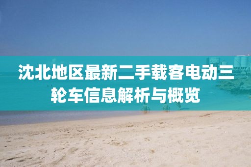沈北地區(qū)最新二手載客電動三輪車信息解析與概覽
