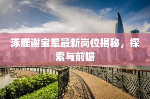 涿鹿謝寶軍最新崗位揭秘，探索與前瞻