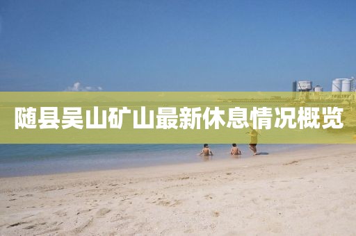 隨縣吳山礦山最新休息情況概覽