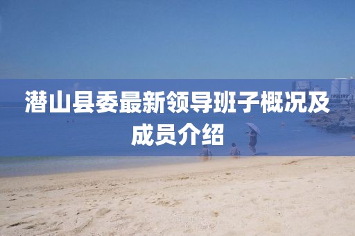 潛山縣委最新領(lǐng)導(dǎo)班子概況及成員介紹