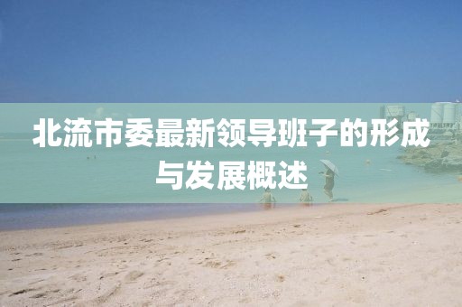 北流市委最新領(lǐng)導(dǎo)班子的形成與發(fā)展概述