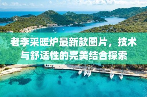 老李采暖爐最新款圖片，技術(shù)與舒適性的完美結(jié)合探索