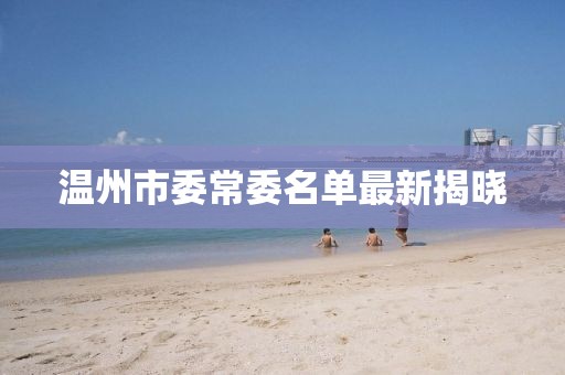 溫州市委常委名單最新揭曉