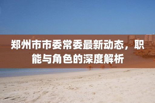 鄭州市市委常委最新動態(tài)，職能與角色的深度解析