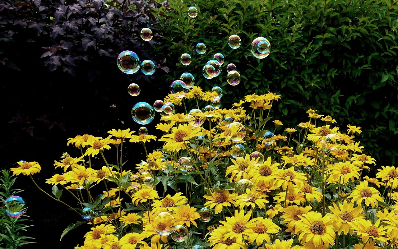 祥臨鐵路最新動(dòng)態(tài)解析，全面解讀最新消息