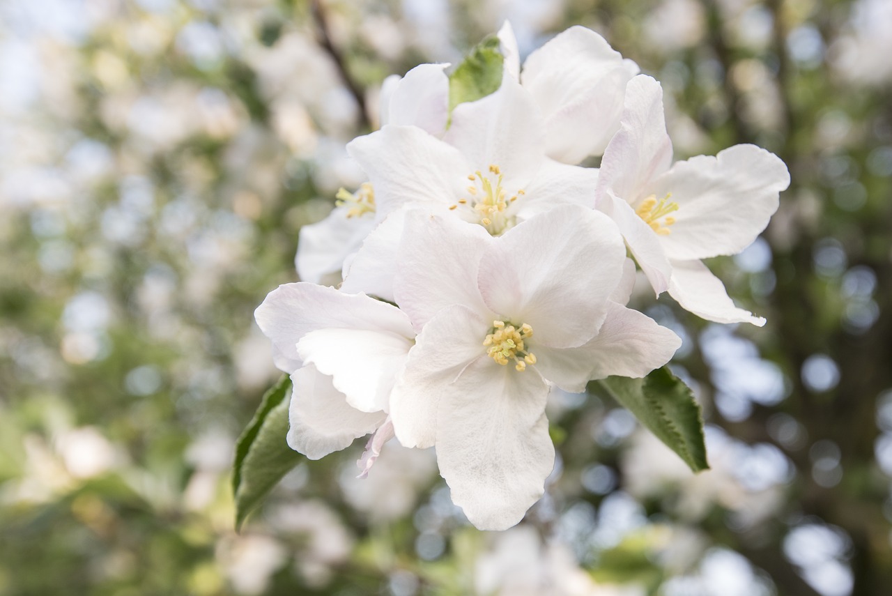 產(chǎn)品中心 第745頁