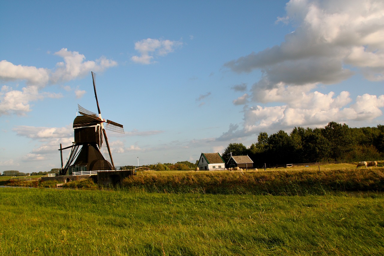 蕪湖古城改造最新動(dòng)態(tài)，重塑歷史風(fēng)貌，煥發(fā)新城活力