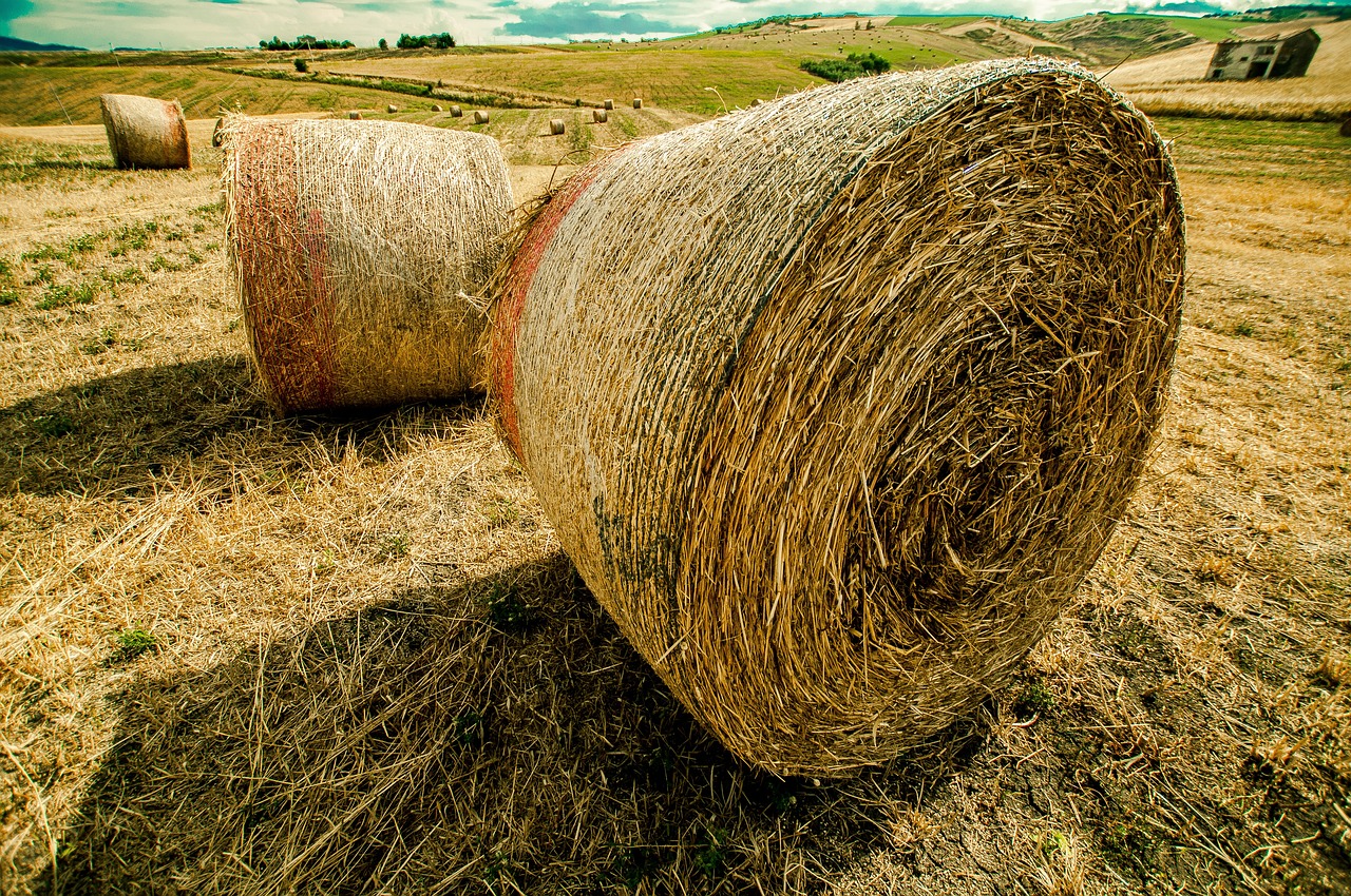 李立囯部長引領變革，最新動態(tài)更新，邁向新的征程