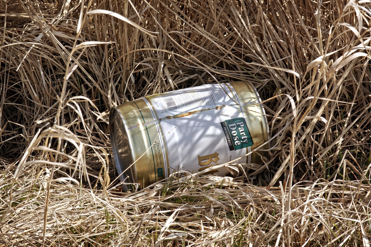 北歡 第28頁(yè)