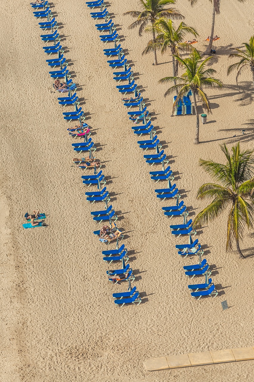 愛口袋最新版下載探索，最新體驗之旅