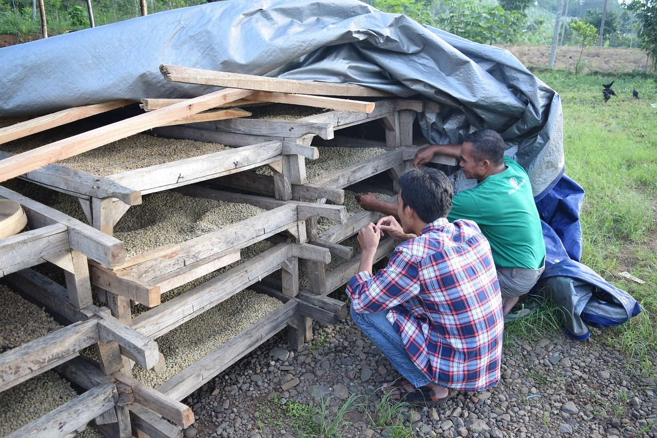 2024年12月 第634頁