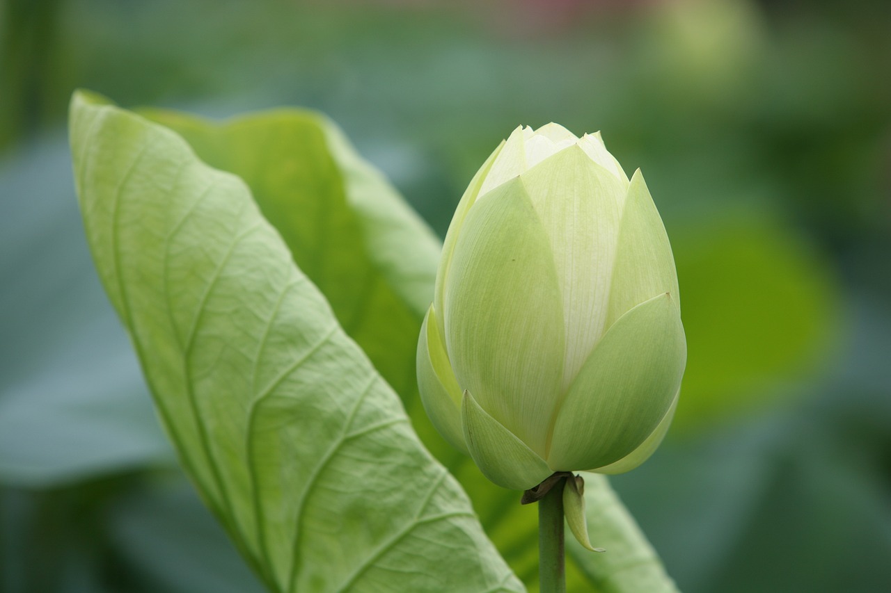 大地傳媒重組最新動態(tài)，重塑傳媒產(chǎn)業(yè)格局取得重大進(jìn)展