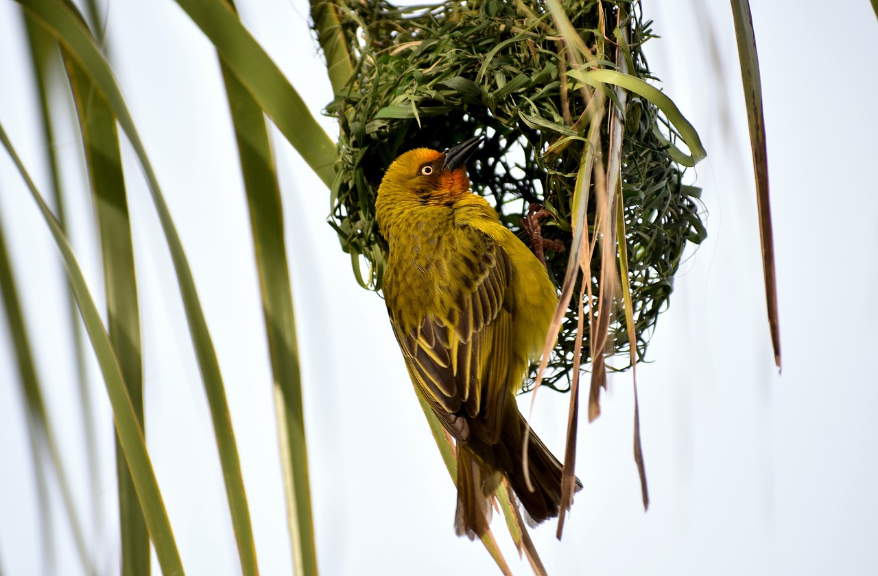 東莞建暉紙業(yè)最新招聘動態(tài)及職業(yè)發(fā)展探討，招聘信息與職業(yè)發(fā)展機會一覽