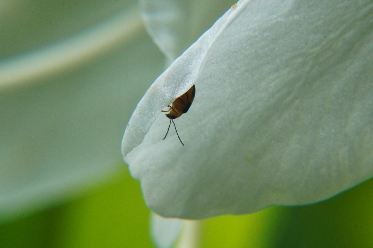 余江新聞最新消息深度報道，聚焦余江發(fā)展動態(tài) 2017年年度報告