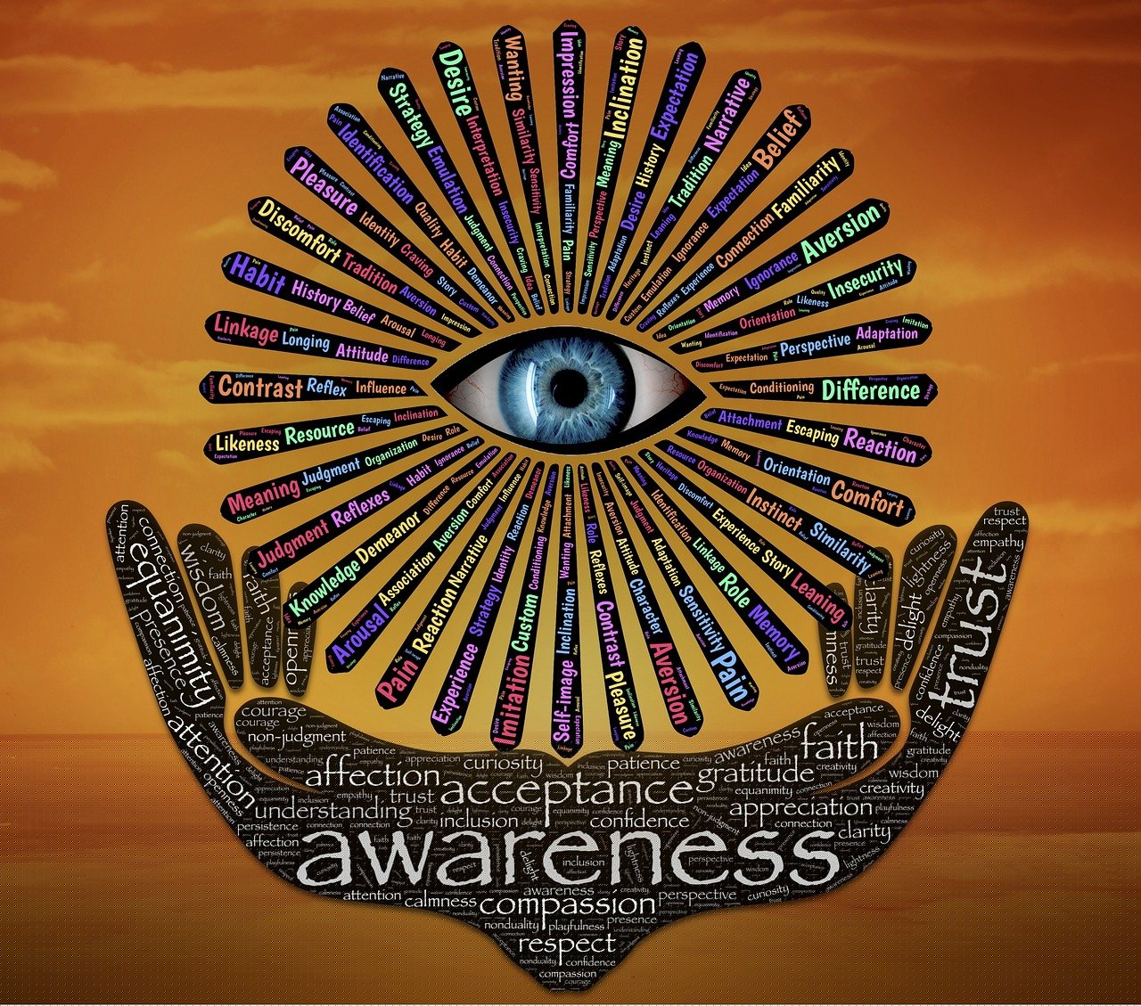 權(quán)力巔峰，官場探索與反思的啟示