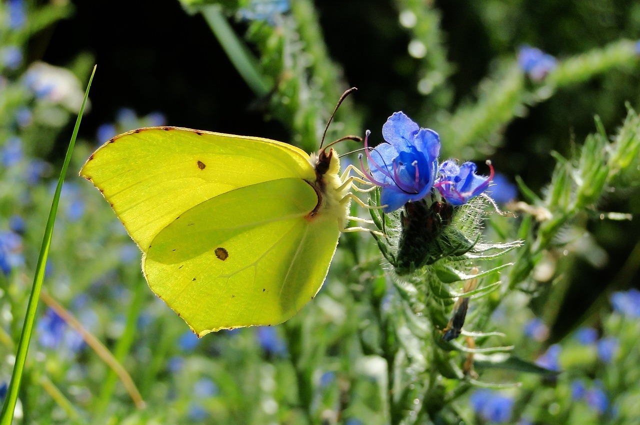 天津津南永旺最新狀況概覽，最新進展與動態(tài)更新