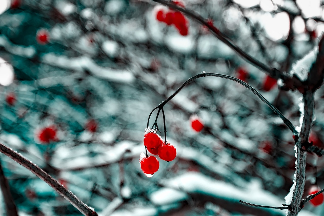 肖致遠續(xù)寫輝煌，一路青云最新進展報道