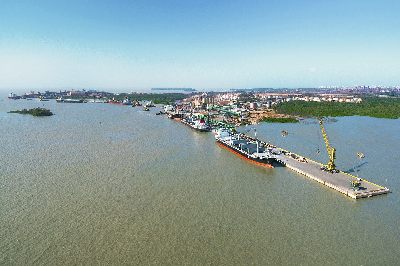 國(guó)產(chǎn)大豆收購(gòu)最新動(dòng)態(tài)，市場(chǎng)趨勢(shì)與產(chǎn)業(yè)動(dòng)態(tài)深度解析