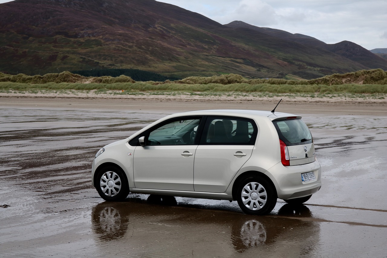 沈山高速擴(kuò)建最新動(dòng)態(tài)更新，擴(kuò)建進(jìn)展揭秘