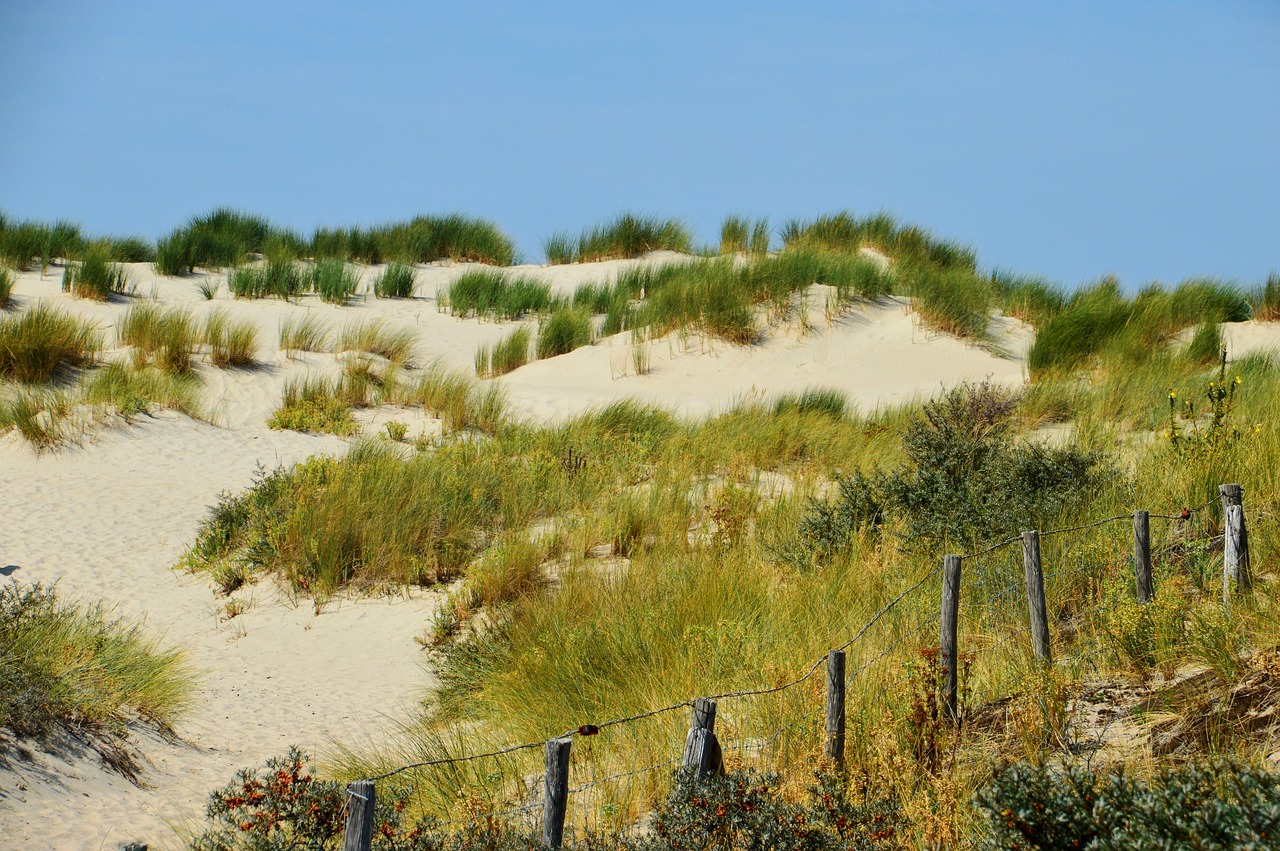 海啟高速如東最新消息概覽，最新動態(tài)與進展報告