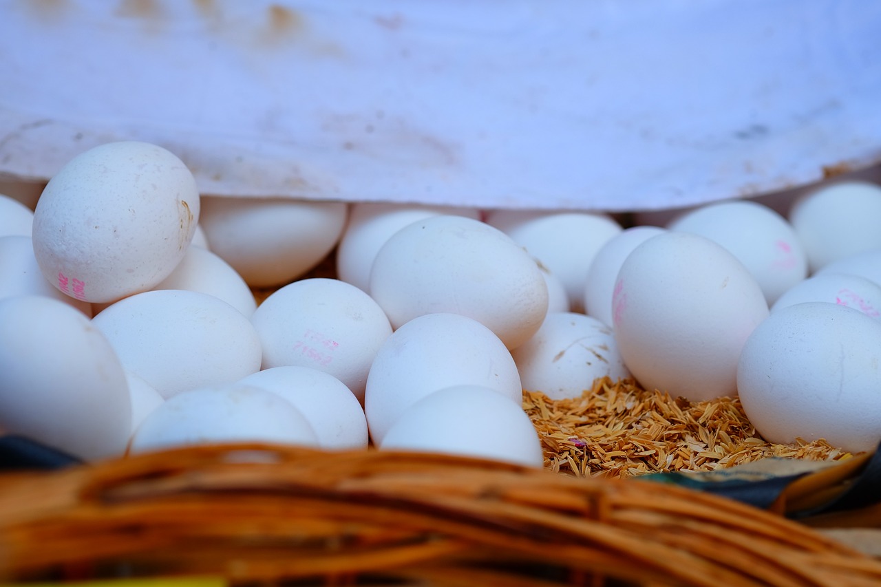 貴港白凹窩最新動態(tài)，城市發(fā)展的熱點與未來展望