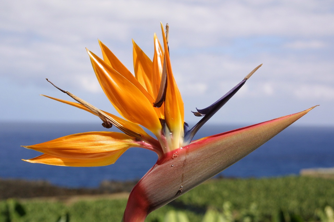 滬強(qiáng)巴黎春天最新動(dòng)態(tài)，先鋒力量重塑城市魅力