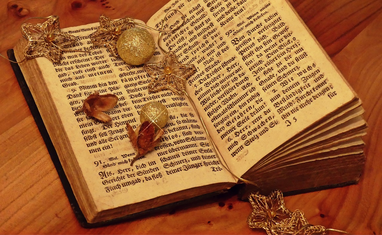 嫖文執(zhí)行者，探索與啟示的最新章節(jié)