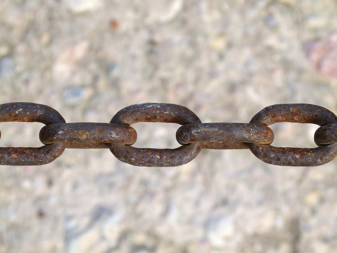 李仕軍在旺蒼的最新動態(tài)，推動地方發(fā)展，展現(xiàn)新面貌