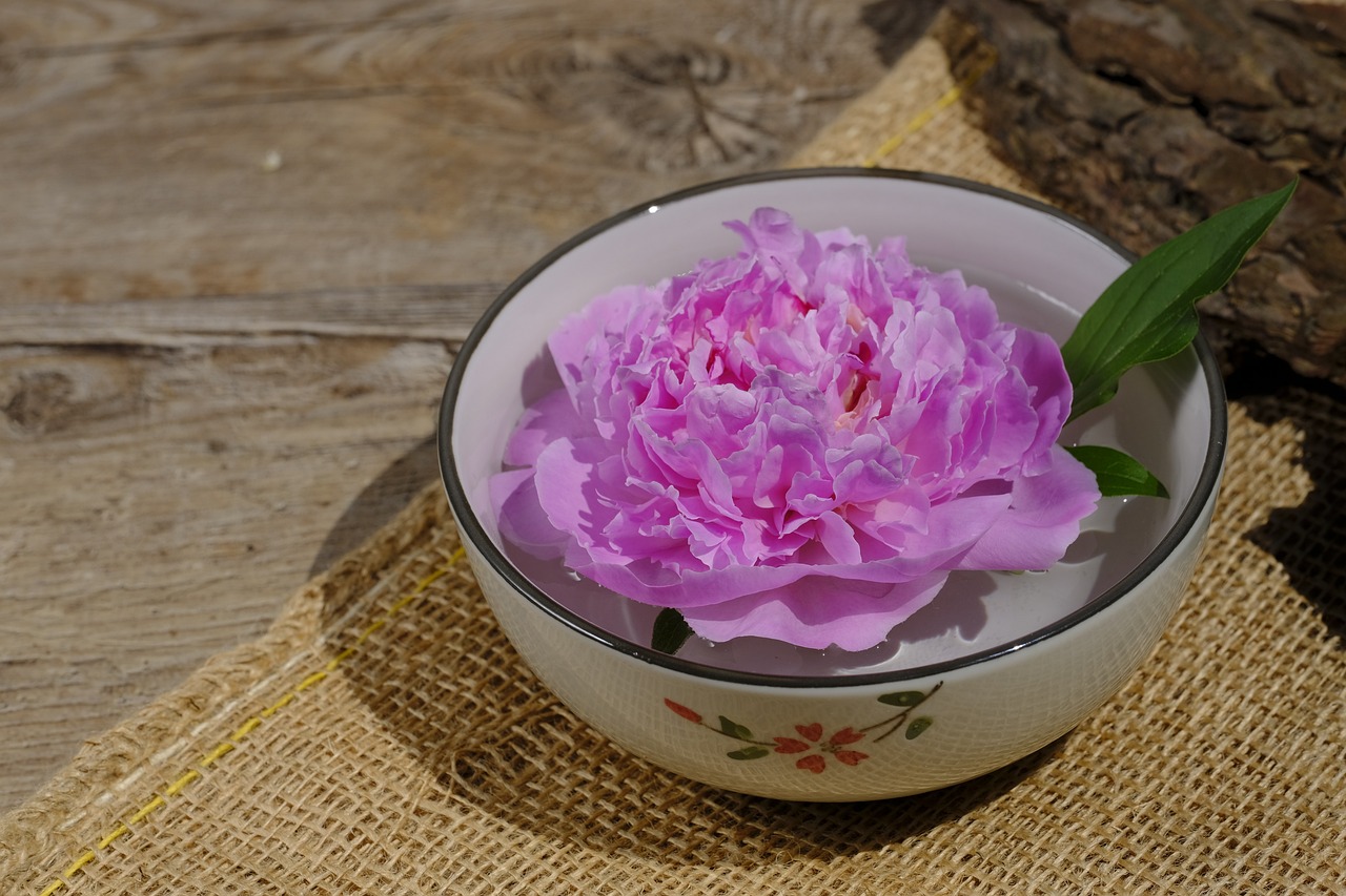 大康牧業(yè)利好消息深度解析，最新動(dòng)態(tài)帶來(lái)積極前景