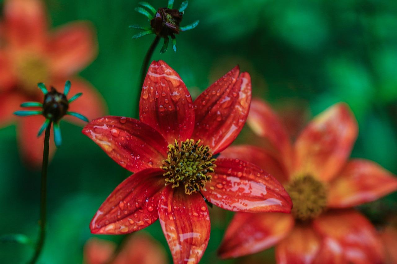 懷來(lái)萬(wàn)悅廣場(chǎng)，城市新地標(biāo)，引領(lǐng)未來(lái)生活風(fēng)尚新動(dòng)態(tài)