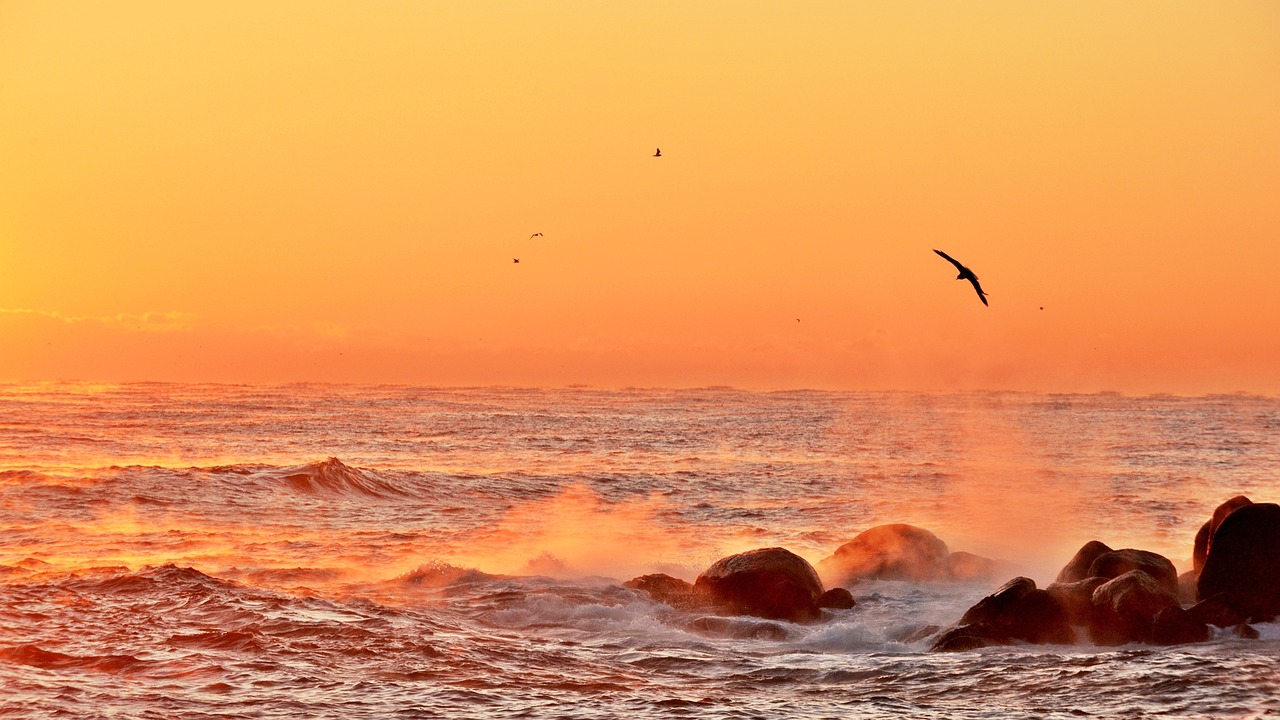 舟山出海捕魚最新招聘啟事，探索海洋的機(jī)遇與挑戰(zhàn)