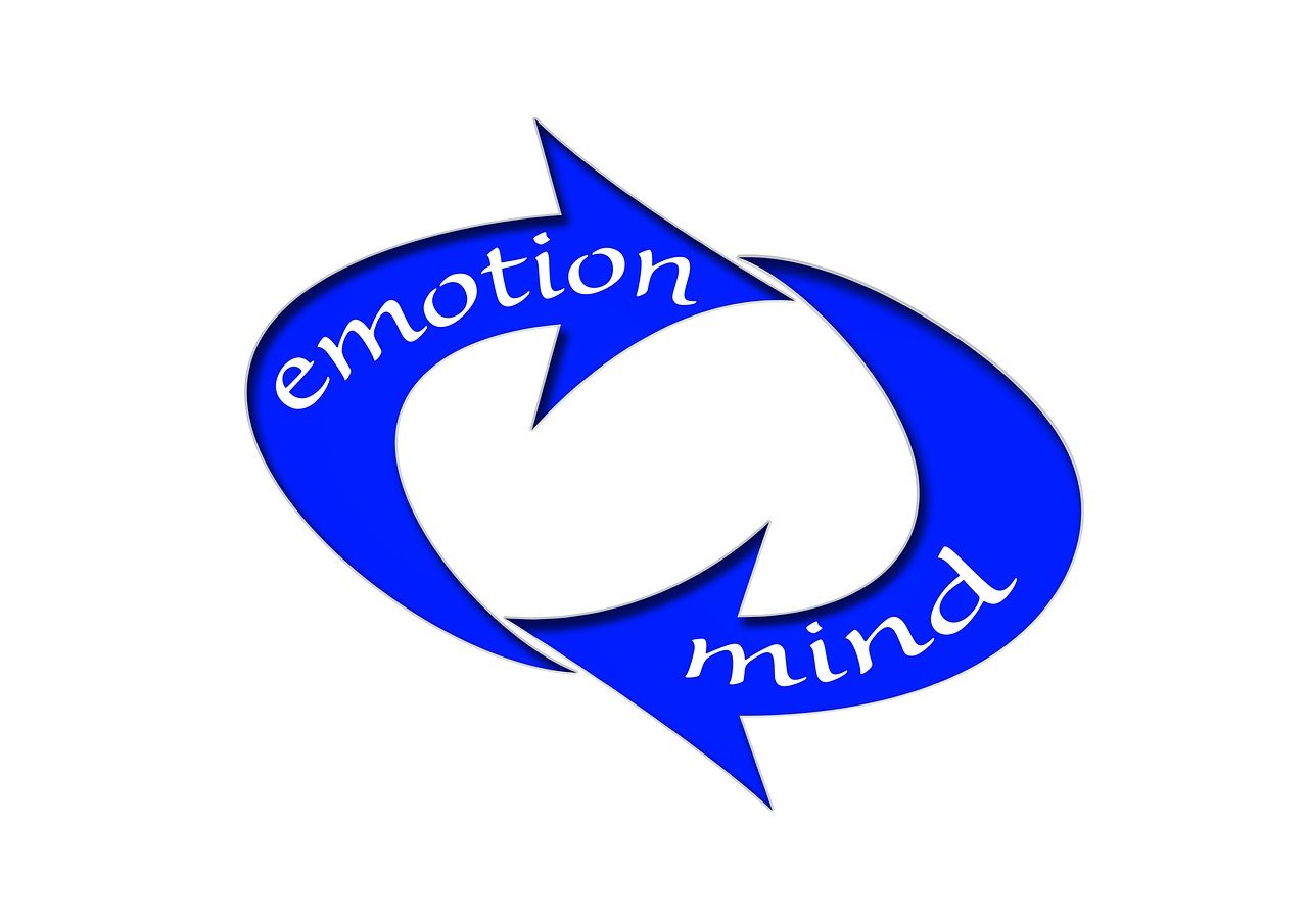 哈佛W01最新消息，引領(lǐng)教育創(chuàng)新與未來發(fā)展